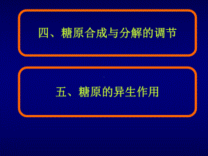 生物化学2糖原的分解及合成课件.pptx