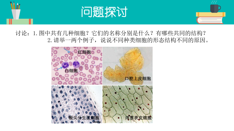 细胞的多样性和统一性课件高一上学期生物人教版必修一-2.pptx_第2页