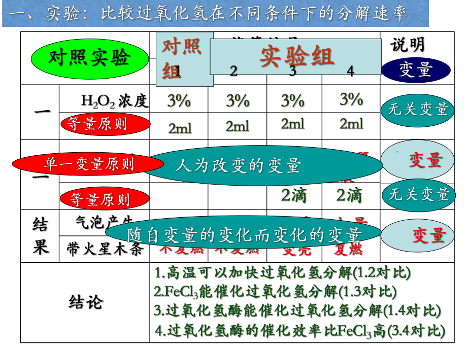 第5章-细胞的能量供应和利用课件.ppt_第3页