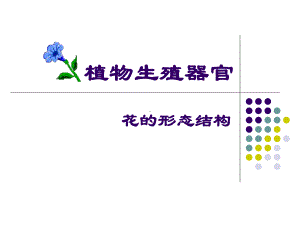 花的形态结构植物学全解课件.ppt