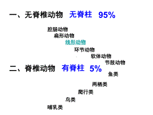 脊椎动物的主要类群(课堂)课件.ppt