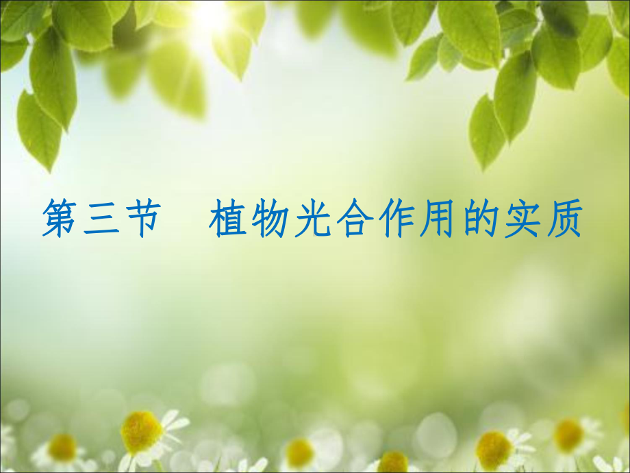 第三节植物光合作用的实质课件.ppt_第1页