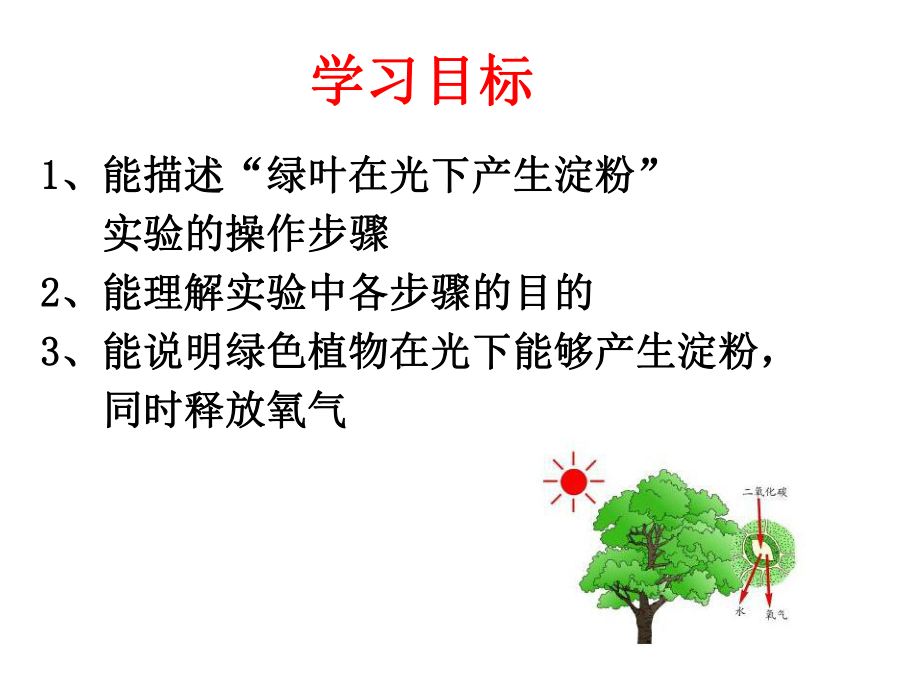 第三节植物光合作用的实质课件.ppt_第2页