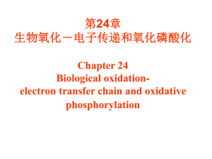 生物化学与分子生物学第24章生物氧化课件.ppt