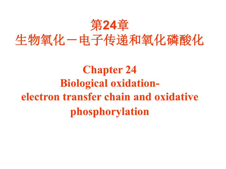 生物化学与分子生物学第24章生物氧化课件.ppt_第1页