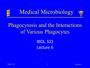 英文版-Indiana-University-Purdue-University-Fort-Wayne微生物学授课讲义-lecture-06课件.ppt