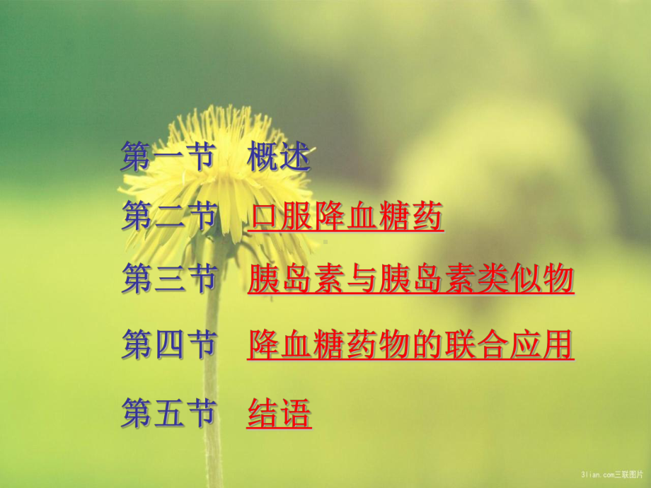 老年糖尿病药物课件.ppt_第2页