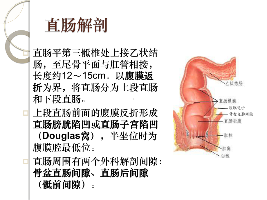 腹腔镜直肠癌根治术术中配合课件.pptx_第2页