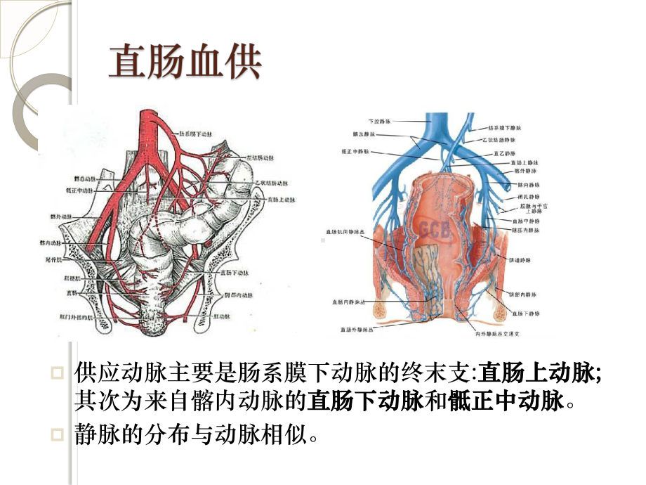 腹腔镜直肠癌根治术术中配合课件.pptx_第3页