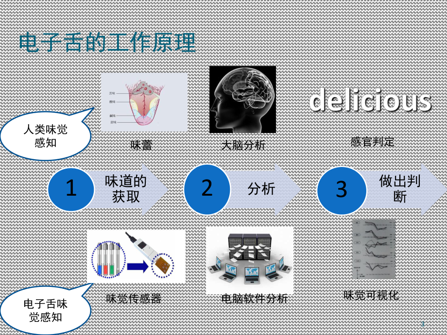 电子舌的工作原理及应用(课堂)课件.ppt_第3页