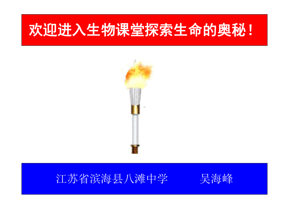 种群数量增长规律模型的构建课件.ppt_第1页