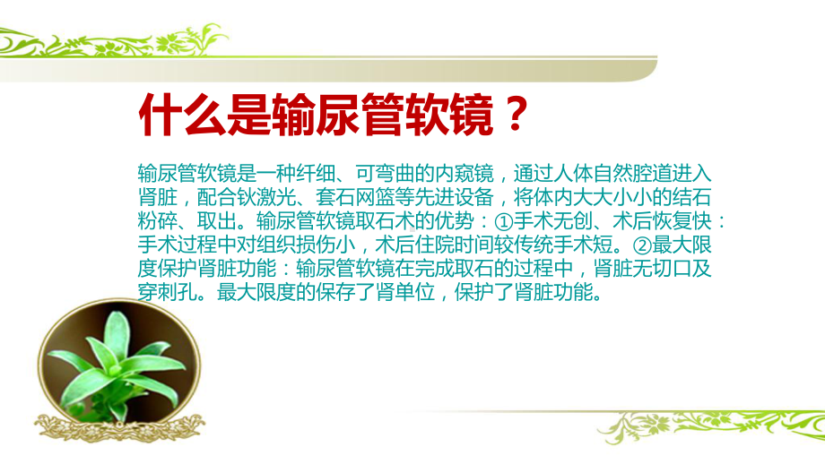 输尿管软镜健康宣教课件.ppt_第2页