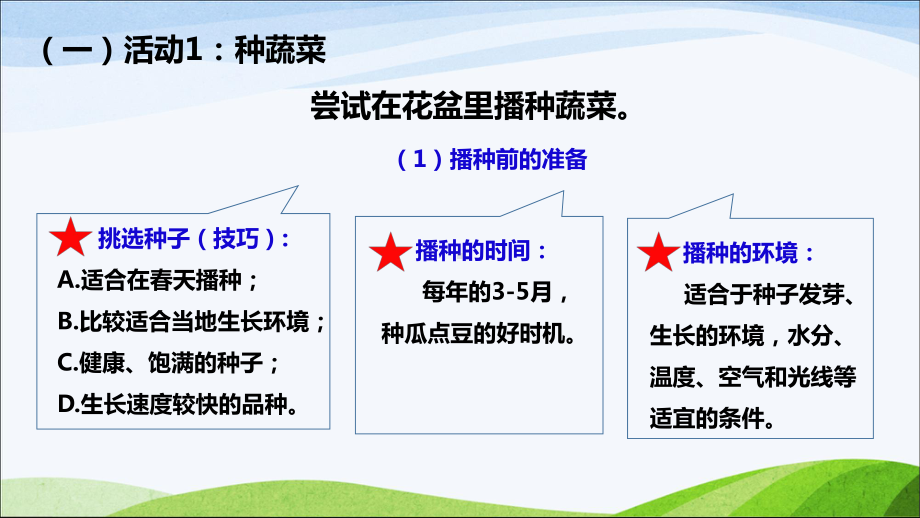 粤教版二年级下册科学26《动手种蔬菜》教学课件.ppt_第3页