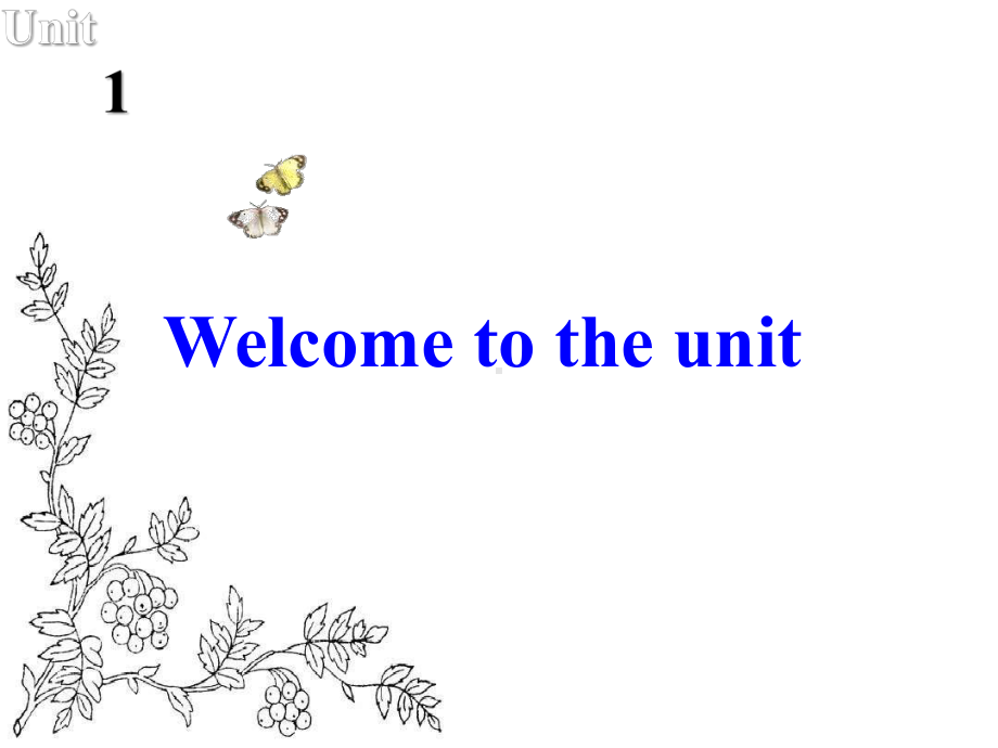 英语-高中-必修2-牛津译林版-Unit-1课件：Welcome-to-the-unit.ppt_第2页