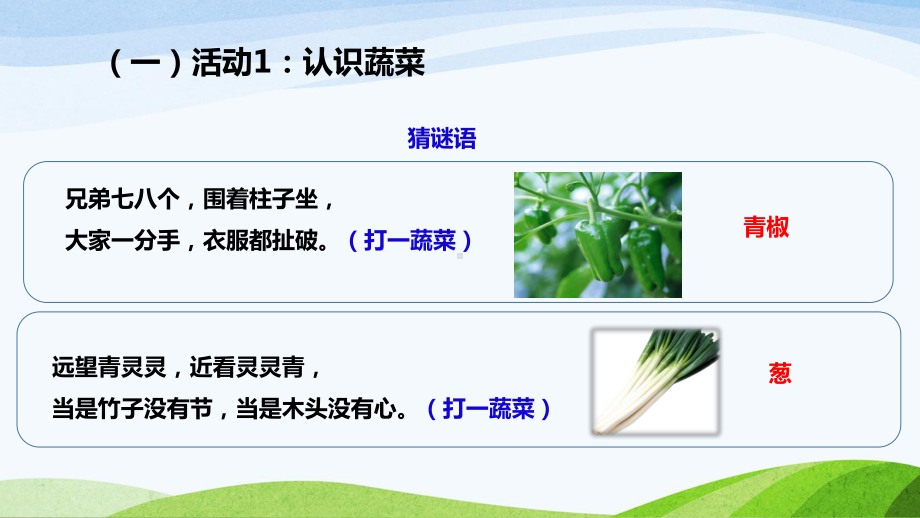 粤教版二年级下册科学25《我们离不开蔬菜》教学课件.ppt_第3页