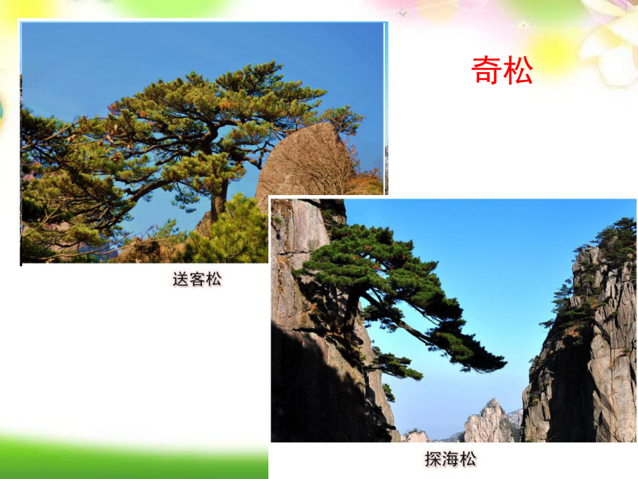 统编版二年级语文上册二上课文9《黄山奇石》课件.ppt_第3页