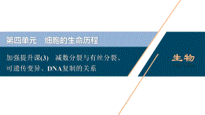 第四单元加强提升课-减数分裂与有丝分裂可遗传变异、DNA复制的关系课件.ppt