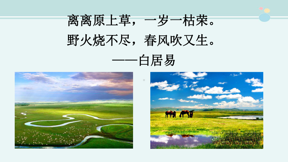 草原一等奖-公开课课件.ppt_第3页