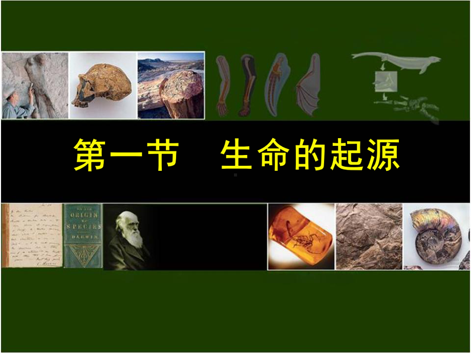 生命的起源课件.ppt_第2页