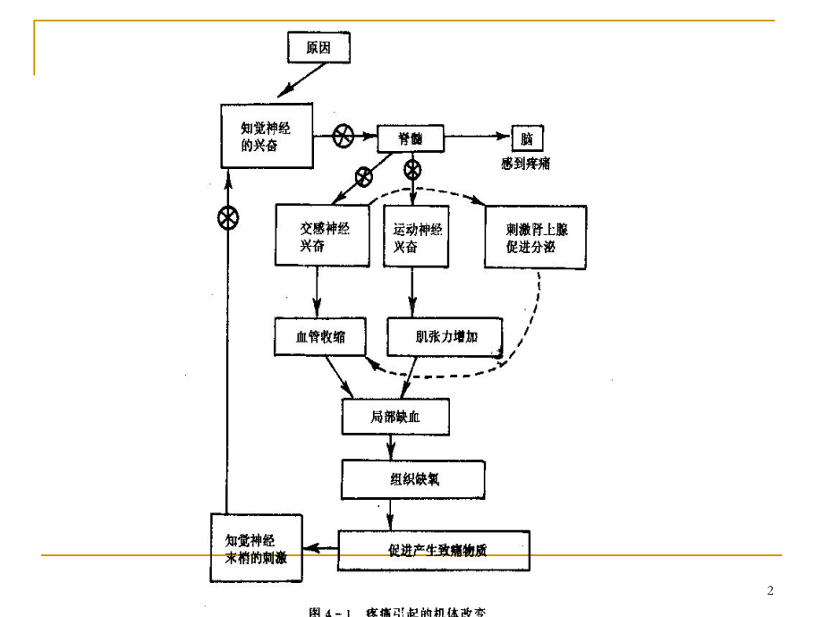 疼痛诊疗学46章课件.pptx_第2页