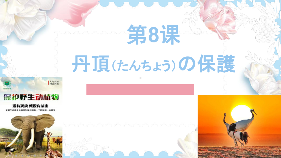 第8課 タンチョウの保護 单词ppt课件-2023新人教版《高中日语》选择性必修第一册.pptx_第1页