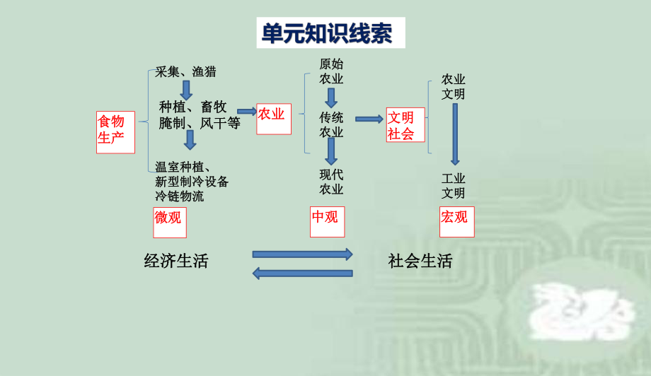 统编版高中历史选择性必修2-第1课-从食物采集到食物生产课件.pptx_第3页