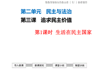 生活在民主国家-课件-初中政治课件-九年级道德与法治课件.ppt