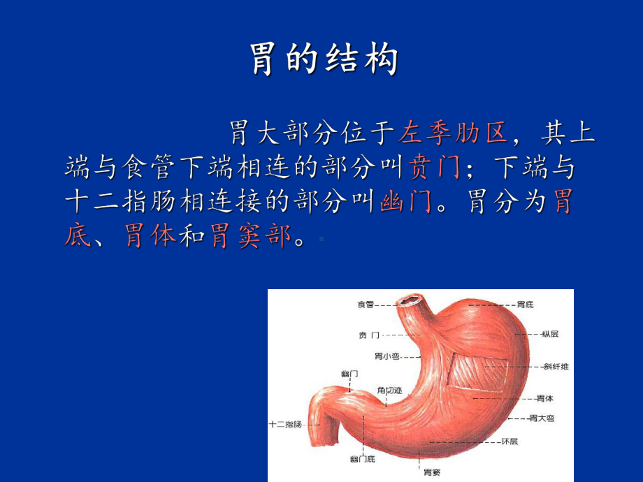 胃癌病人的护理最新版本课件.ppt_第3页