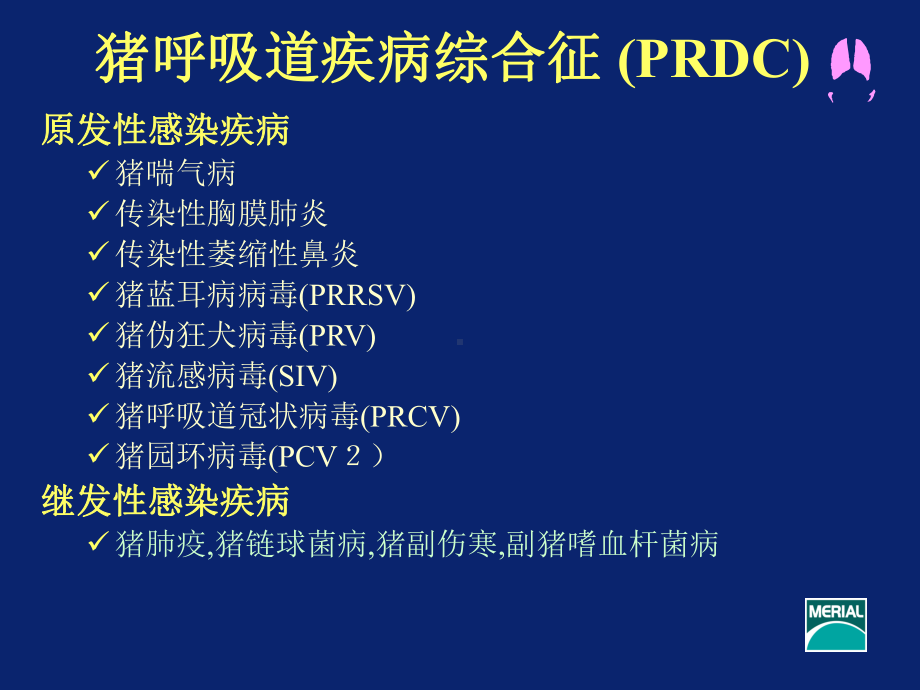 猪支原体肺炎分析课件.ppt_第3页