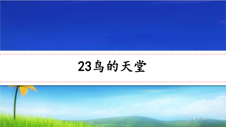 统编版五年级语文上册课件23-鸟的天堂-第一课时-.ppt_第1页