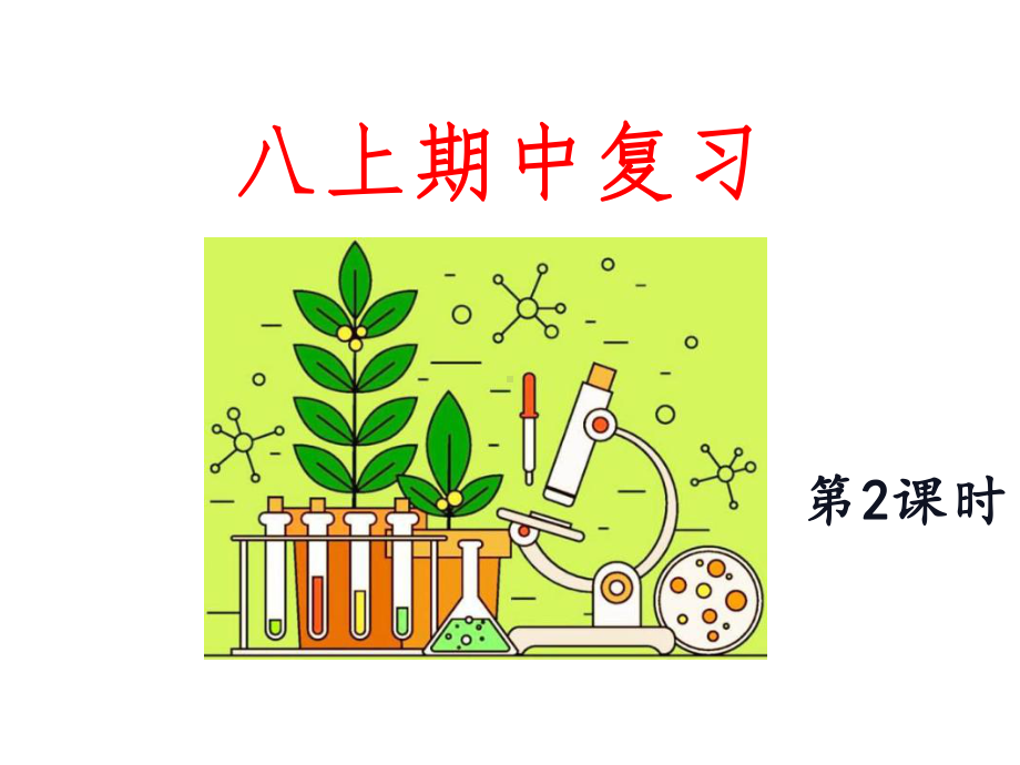 苏教版生物八年级上册期中复习课件.ppt_第1页