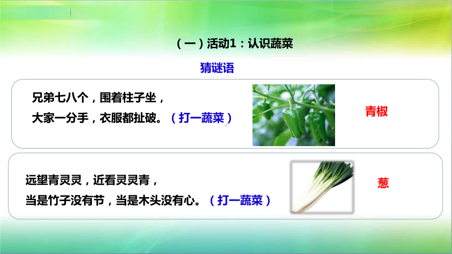 粤教版小学科学新版二年级下册科学25我们离不开蔬菜(课件).ppt_第3页