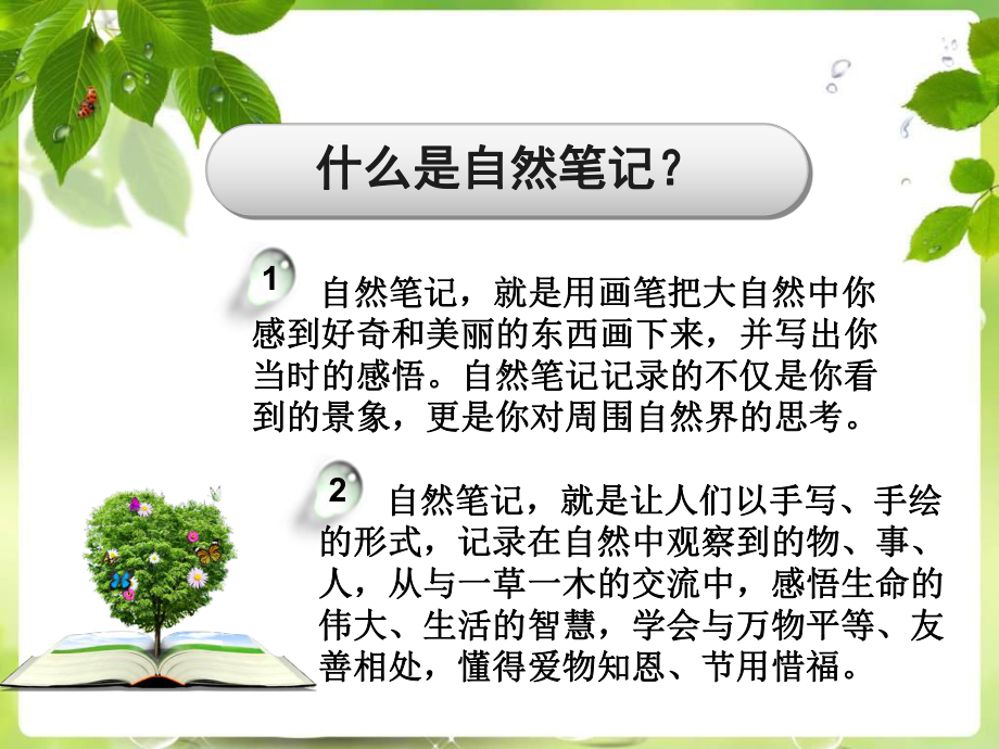 自然笔记指导培训课件.ppt_第3页