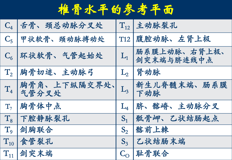 第二章-25-脊柱区X-ray解剖讲解学习课件.ppt_第3页