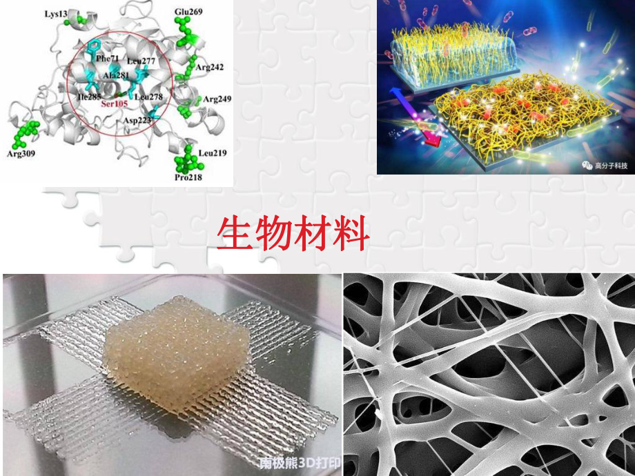 生物材料科学与工程导论课件.ppt_第1页