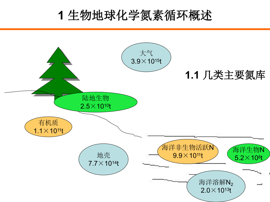 第五章微生物与生物地球化学循环之氮循环资料课件.ppt_第3页