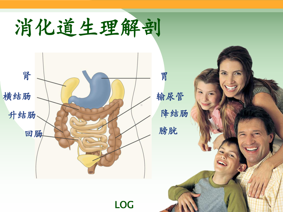 造口袋的更换方法(伤口组)课件.ppt_第2页