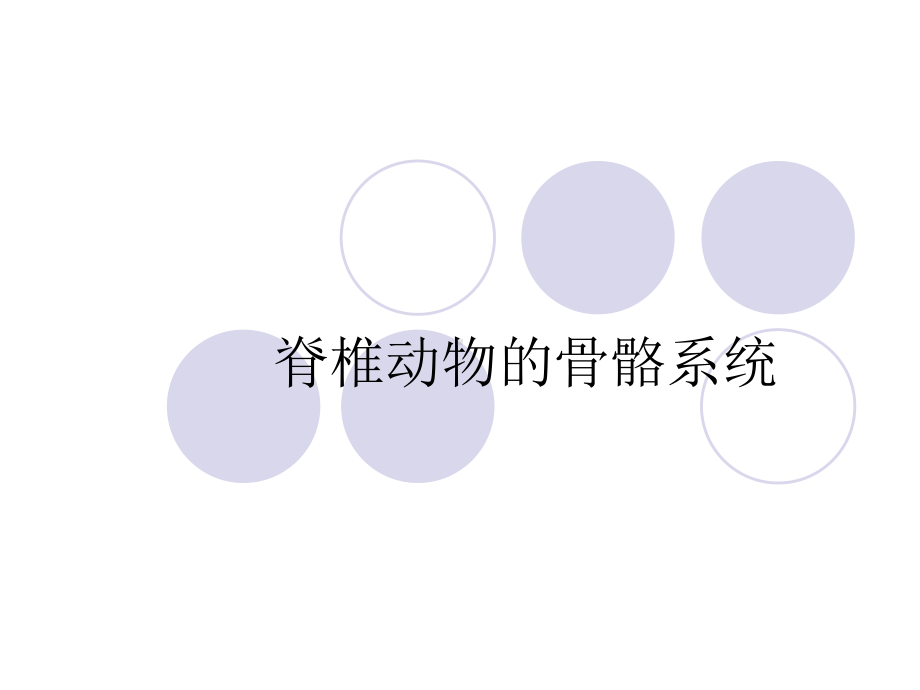 脊椎动物的骨骼系统课件.ppt_第1页