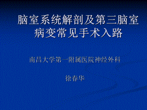 脑室系统解剖及第三脑室手术入路汇总课件.ppt