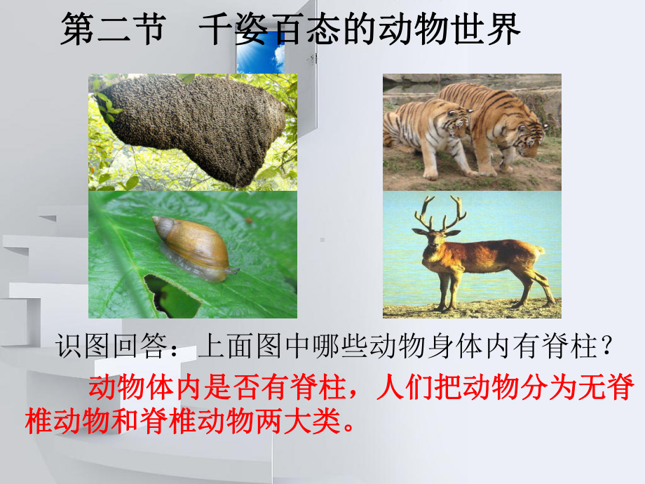 苏教版八年级上册生物-千姿百态的动物世界课件1.ppt_第1页