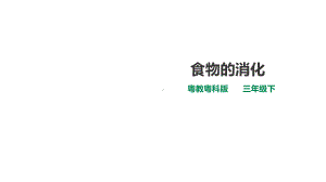 粤教粤科版小学科学新版三年级下册科学第二单元第7课时《食物的消化》课件.ppt