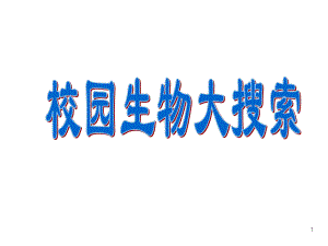 科学六年级上教科版41校园生物大搜索课件.ppt