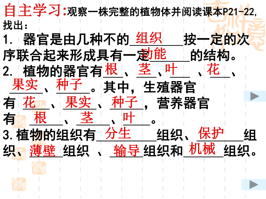 苏科版七年级生物下册课件：91植物体的组成-.ppt_第3页