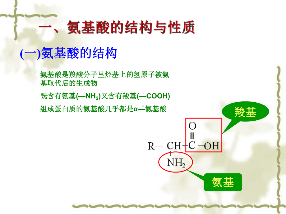 蛋白质和核酸高考复习题课件.ppt_第3页