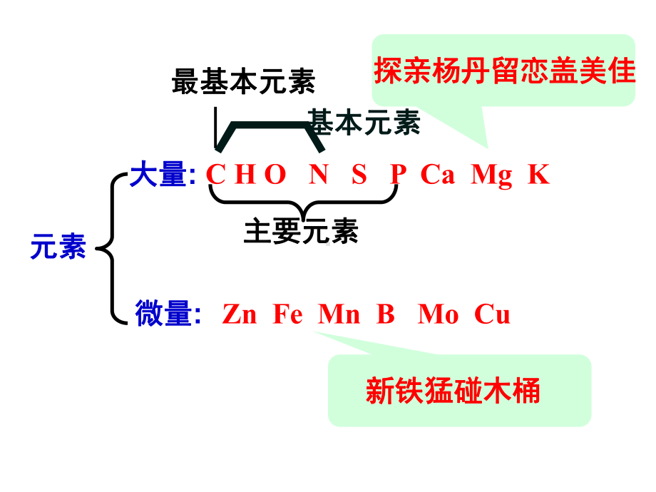 细胞中元素和无机化合物课件.ppt_第3页