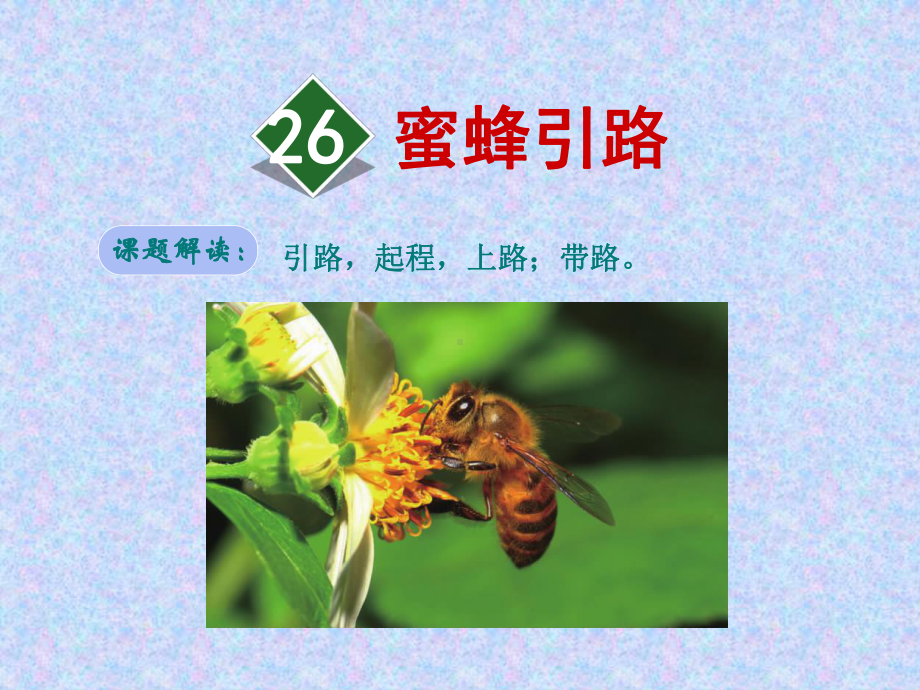 部编人教版版二年级下册语文课件：26蜜蜂引路.ppt_第1页