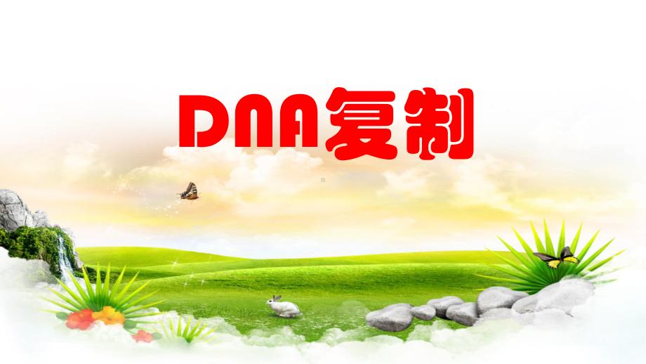 精编课件高中生物竞赛《DNA复制》辅导课件.pptx_第1页