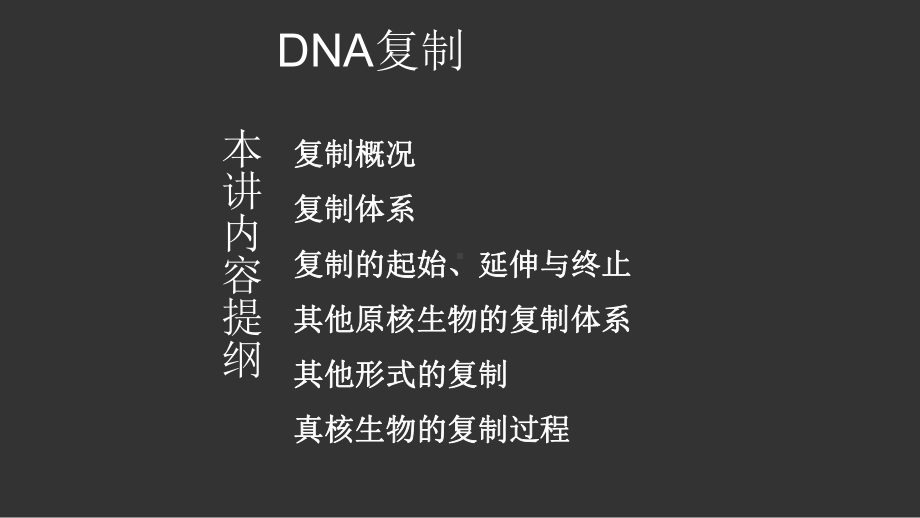 精编课件高中生物竞赛《DNA复制》辅导课件.pptx_第2页