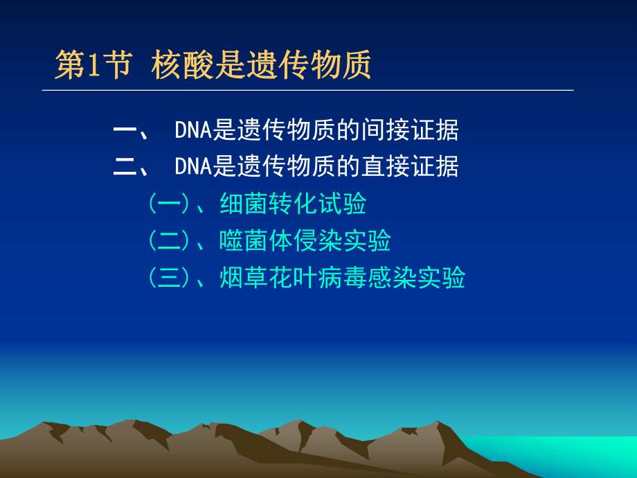 第十一章遗传的分子基础课件.pptx_第1页