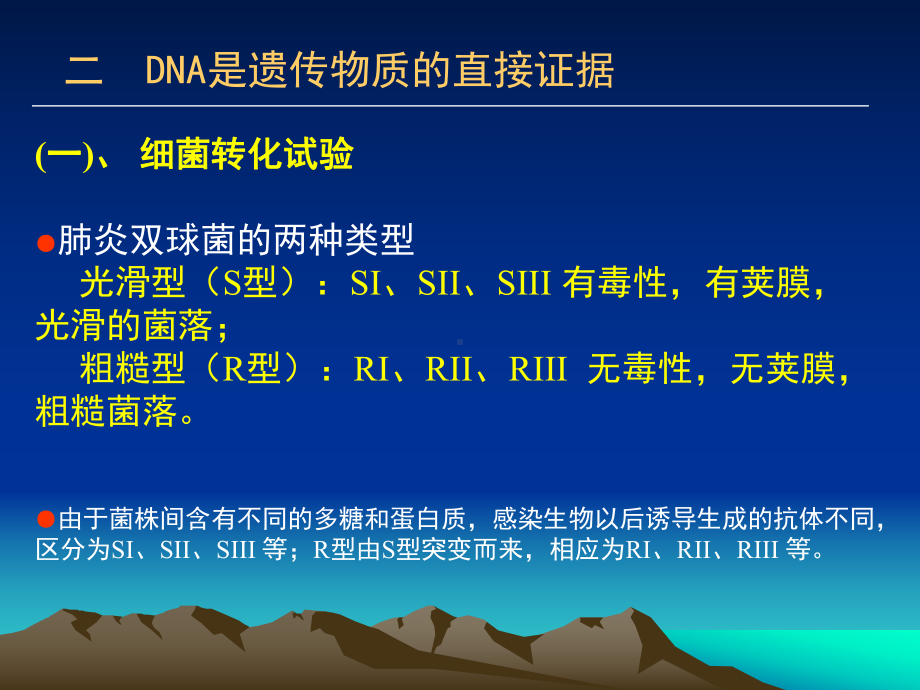 第十一章遗传的分子基础课件.pptx_第3页